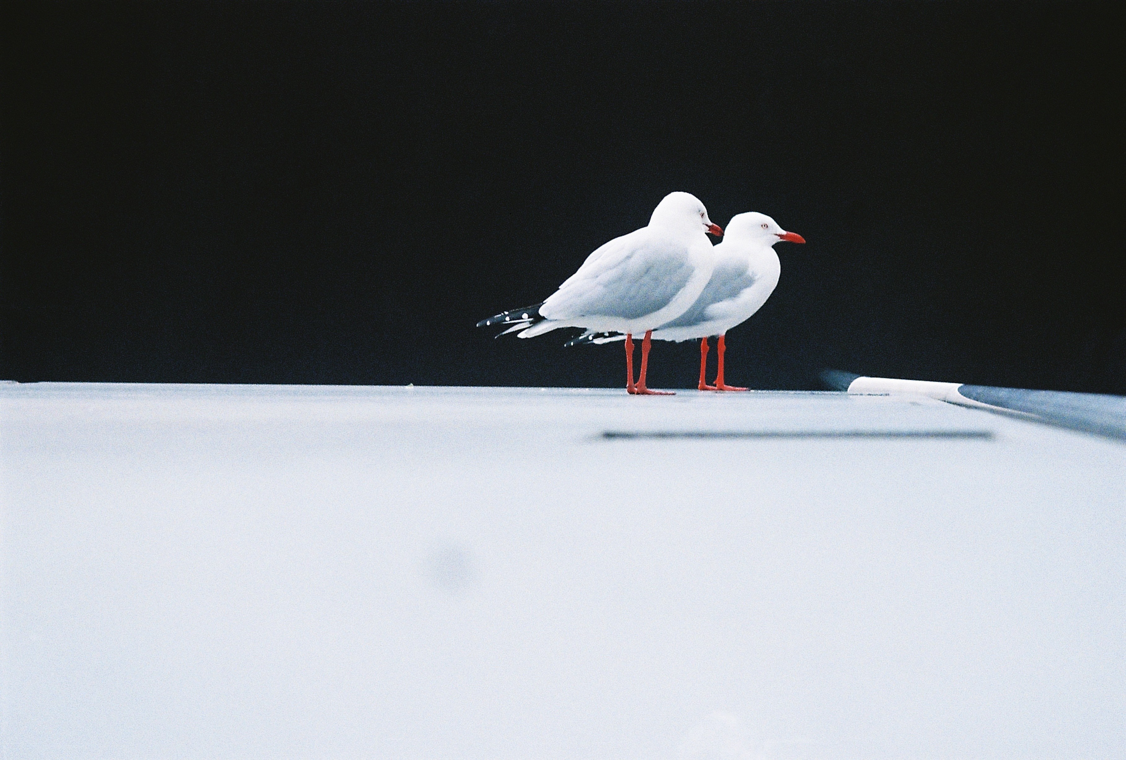 Photo Project 03